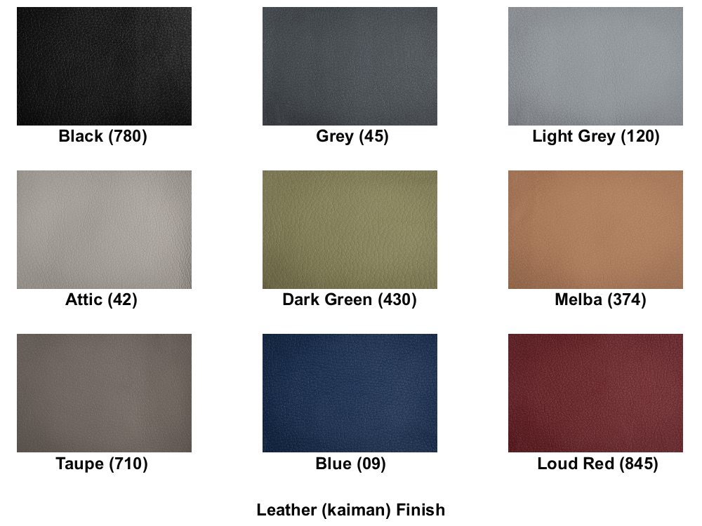 GO_KAIMAN leather _Finish _2026